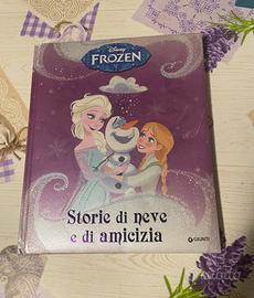 Libro disney frozen