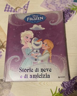 Libro disney frozen