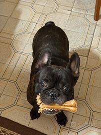 Leon carca fidanzata