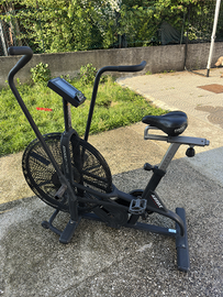 Assault AirBike