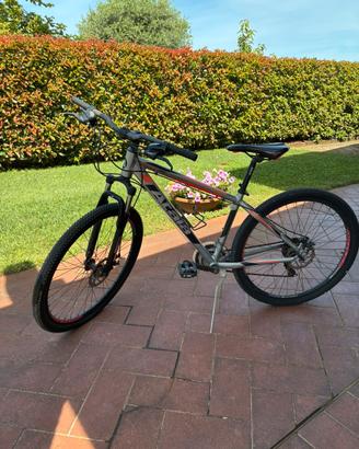Bici ragazzo