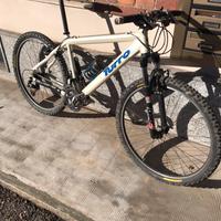 Bici MTB