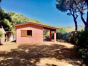 ISOLA D'ELBA a Capoliveri villetta indipendente