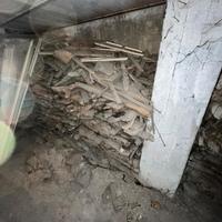 Legna per camino/forno