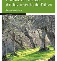 POTATURA E FORME DI ALLEVAMENTO DELL'ULIVO