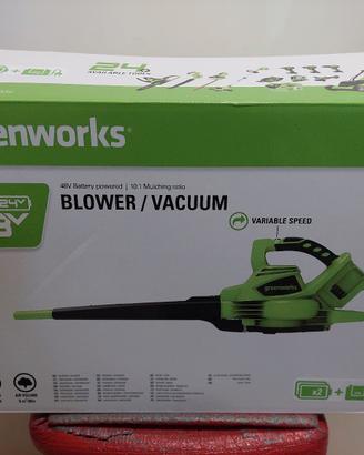 Greenworks Aspirafoglie e Soffiatore