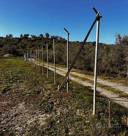 Serre agricole