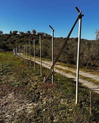 Serre agricole