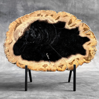 Legno fossile / Pietrificato (25.7 cm - 30 cm)