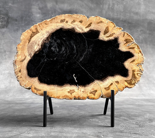 Legno fossile / Pietrificato (25.7 cm - 30 cm)