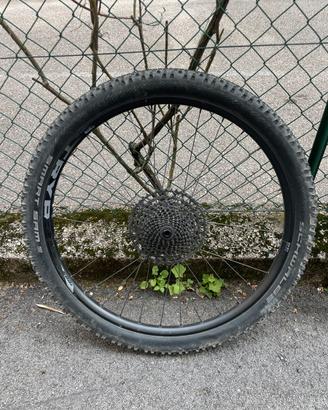Ruote ebike 29”