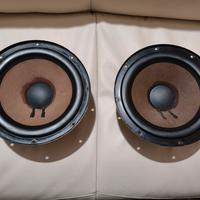 woofer Philips AD 10/100 W8