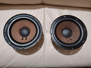 woofer Philips AD 10/100 W8