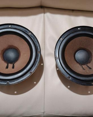woofer Philips AD 10/100 W8
