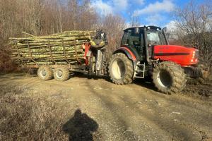 Trattore e rimorchio