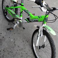 bicicletta ragazzo 20"