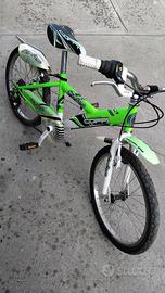 bicicletta ragazzo 20"