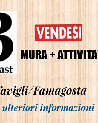 401/24 B&B di mq 110 in zona Navigli/Barona