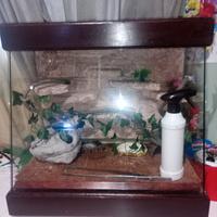 terrario per rettili 