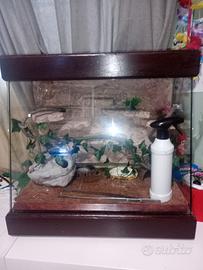 terrario per rettili 