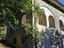 Immagine 7