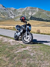 Honda hornet
