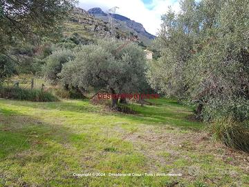 Terreno, Termini Imerese.