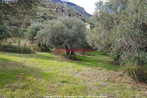 Terreno, Termini Imerese.