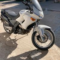 Pegaso 650 ie 2003