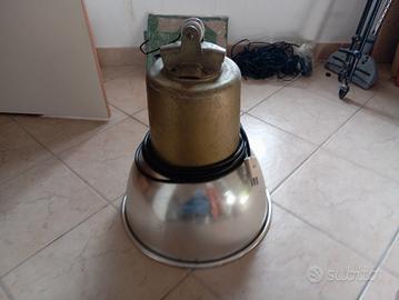 lampada a infrarossi per cuccioli