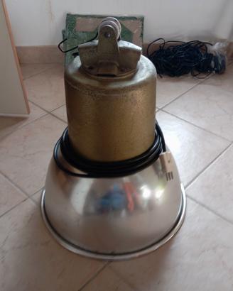 lampada a infrarossi per cuccioli
