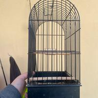 Gabbia esposizione canarini york