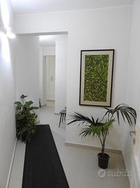 Coworking Flessibile: Il Tuo Ufficio Anche per un