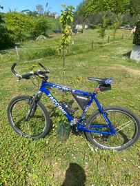 Bici Mtb Tacconi. XL. 26.