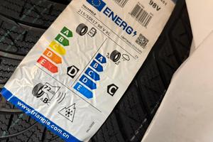 Gomme invernali triangle winter x tw401 215/55 r17