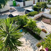 Piccola capri- Ardea