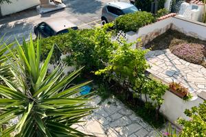 Piccola capri- Ardea