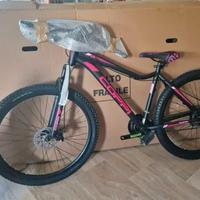 Bicicletta Mountain Bike