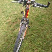 Bicicletta Cinzia Marathon Jumper Trek