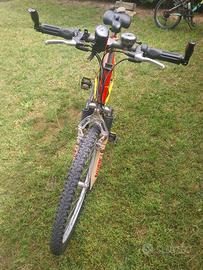 Bicicletta Cinzia Marathon Jumper Trek