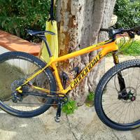 Cannodale MTB