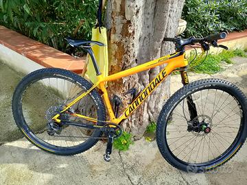 Cannodale MTB