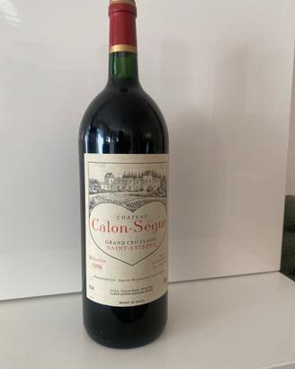 Magnum Vino rosso Chateau Calon Segur