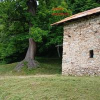 Vendita porzione di rustico e terreno boschivo