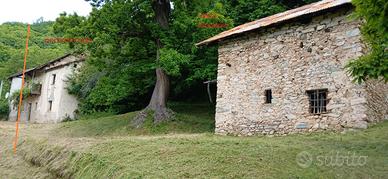 Vendita porzione di rustico e terreno boschivo