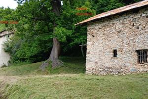 Vendita porzione di rustico e terreno boschivo