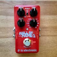 Hall of fame due riverbero