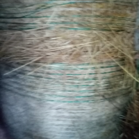Paglia di frumento