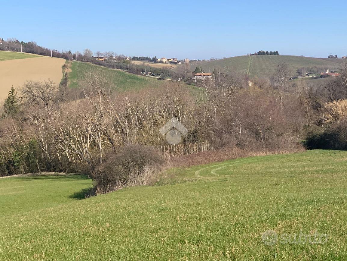 TER. AGRICOLO A CORIANO - Vista 5