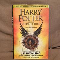 "Harry Potter and the Cursed Child" in inglese